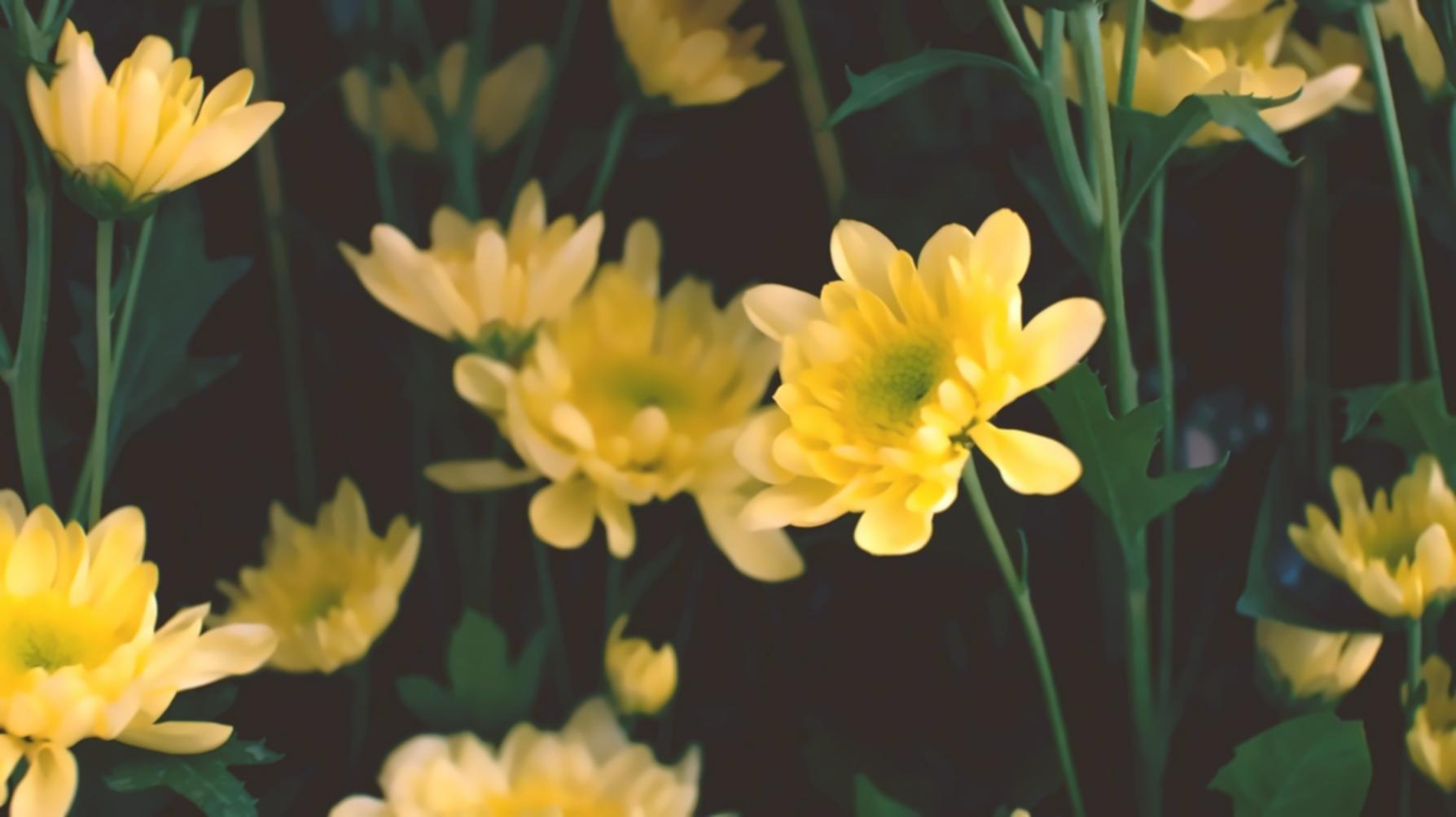 Son kontroller ve paketleme işlemi